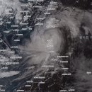 제 5호 태풍 &#34;독수리&#34; 현재 경로 안내 이미지