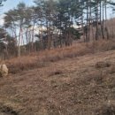 수하농장 이미지