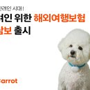 캐롯 카카오 검색결과