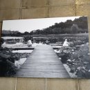 라베니체6차 화장실 이미지