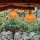 온유민박 이미지