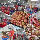 산남종합사회복지관 | 청주봉사단 2025.12.19(금) 산남종합사회복지관