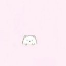 Hello Kitten 이미지