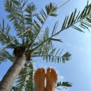 이마트24 시흥정왕특급점 | [시흥 정왕동 가볼만한 곳] 웨이브파크