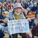 펌)92살 할머니도 파면을 원합니다 이미지