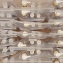 DIY 컬러테라피 천연화장품 이미지