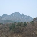 학강 Daum카페