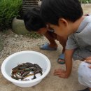 무릉천 Daum카페