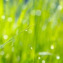 백로사우나 이미지