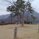 서시교 옆(좌) | 쌍계사 60/61