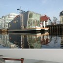 은빛물고기 이미지