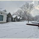 더좋은펜션캠핑장 이미지