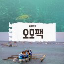 세친구 | 필리핀 세부 모알보알 투어 오모팩 세친구투어 후기