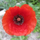 서상중학교 이미지