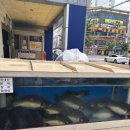 일품어탕 | [창원 마산] 마산 해운동 맛집 보양식 ‘경호강 어탕’ 솔직후기! 🐟