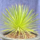 수원-0943 이미지