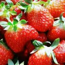 해천농장 이미지