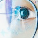 프랑스안경 이미지