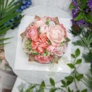 달플로르 이미지