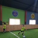 중앙기독초 이미지