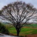 반암경로당 이미지