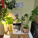 언제든지 가능한 연필드로잉 | 세종시 펜드로잉 수업 후기, 그림 초보도 가능한 학원