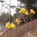 천년바위 이미지