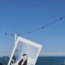 오션게임랜드 이미지