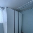 킹덤키즈 이미지