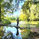 복사꽃도서관 | 데이트 가볼만한곳 안동 낙강물길공원 반려견 동반 가능