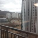 엘지내덕 이미지
