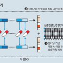 통달