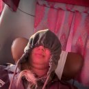 승우농원 | [2026광양매화축제] 서울출발 뚜벅이 당일치기 꽃구경 후기