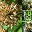 덕수농장 이미지