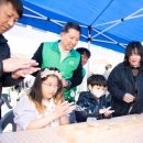 친환경 식물로 소품만들기 이미지