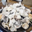 강구 산 아구 이미지