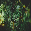 멘토환경 이미지