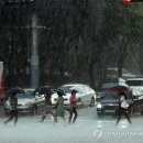 소나기 이미지