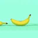 선경디자인