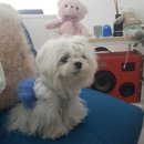 예아왁싱