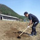 꽃봉우리 이미지