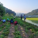 이종란농장 이미지