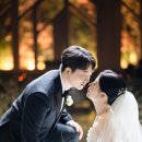 호텔리츠 이미지