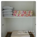 [인제] 국립 용대 자연 휴양림 - 예약 / 후기