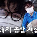 김종연농장 이미지