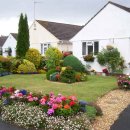 정원이 아름다운 집 이미지