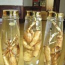 천마가스 이미지