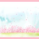 2025년 6월 12일(목요도보) 안산 대부도 해솔길 1코스 걷기 이미지