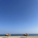 오오펜션 네이버블로그