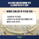 농수산물도매시장_서 네이버블로그